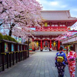 Cultural Delights of Japan