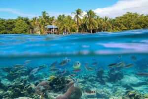Bocas del Toro Snorkeling Excursion