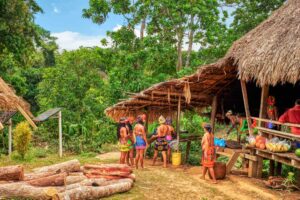Emberá Indigenous Village Cultural Experience