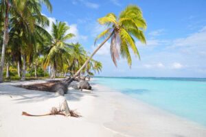 Caribbean Coast Discovery Tour