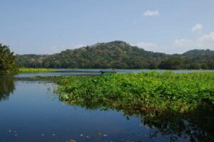 Guided Kayaking Tour in Gatun Lake