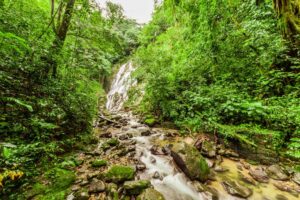 El Valle Discovery Private Tour