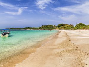 Iguana Island Snorkel