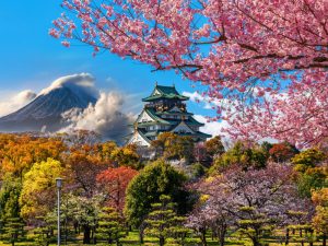 Japan Cultural Immersion